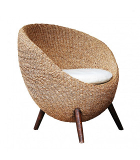 Hummingbird special cushion
